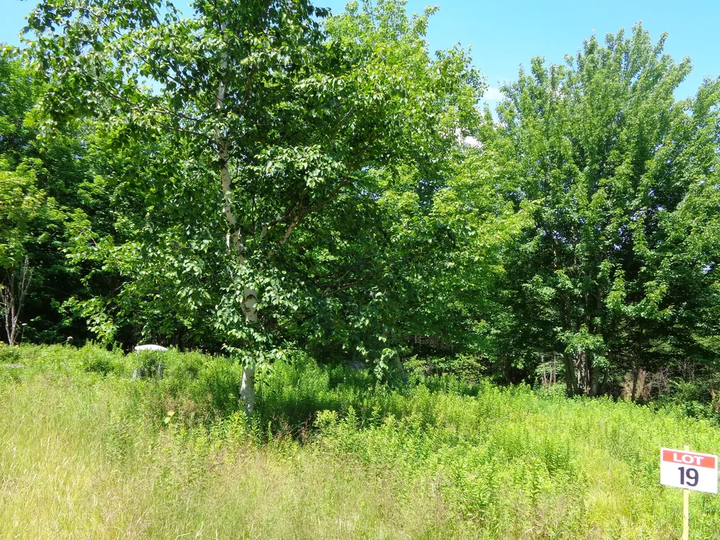 Lot 19 Bailey Mountain Road Franklin ME 04634