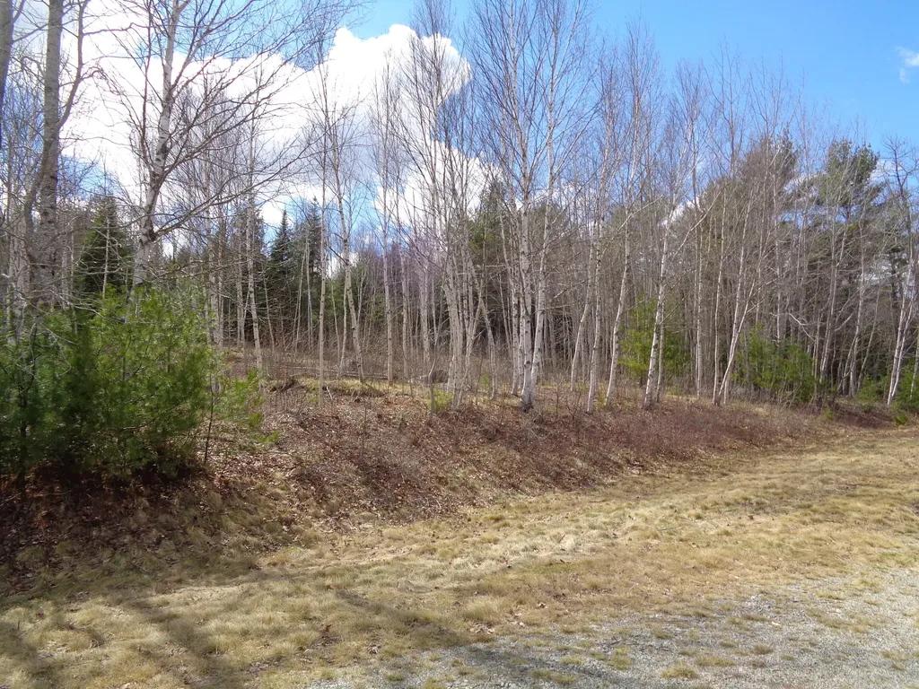 Lot 19 Bailey Mountain Road Franklin ME 04634