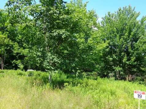 Lot 19 Bailey Mountain Road Franklin ME 04634