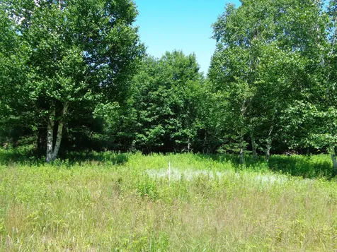 Lot 19 Bailey Mountain Road Franklin ME 04634
