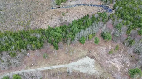 Lot 19 Bailey Mountain Road Franklin ME 04634