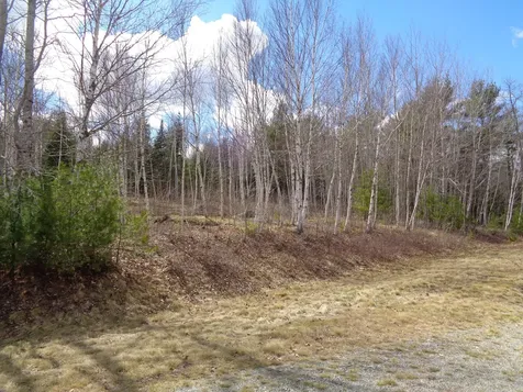 Lot 19 Bailey Mountain Road Franklin ME 04634
