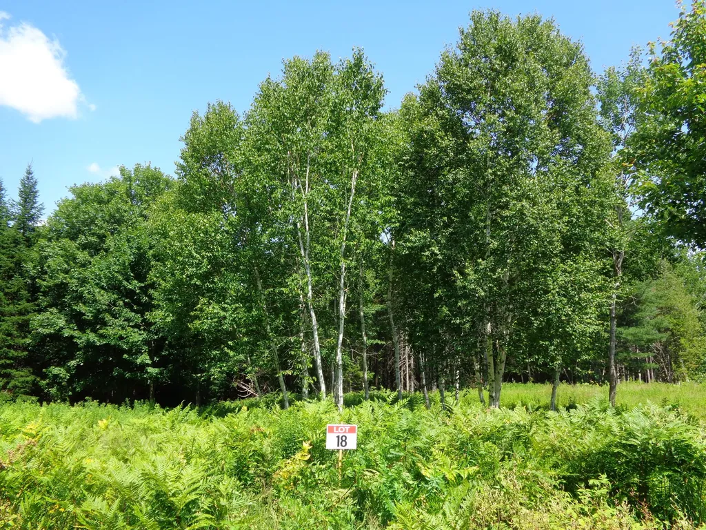 Lot 18 Bailey Mountain Road Franklin ME 04634