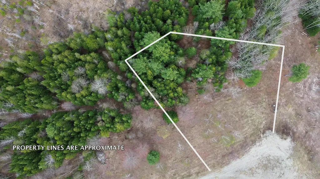 Lot 18 Bailey Mountain Road Franklin ME 04634