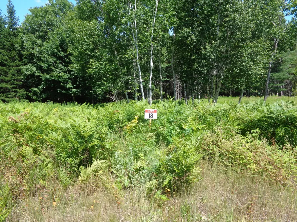Lot 18 Bailey Mountain Road Franklin ME 04634