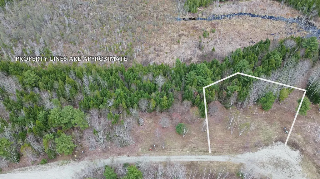 Lot 18 Bailey Mountain Road Franklin ME 04634