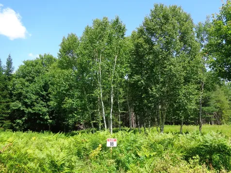 Lot 18 Bailey Mountain Road Franklin ME 04634