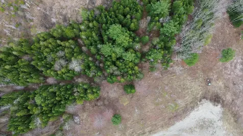 Lot 18 Bailey Mountain Road Franklin ME 04634