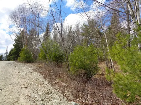 Lot 18 Bailey Mountain Road Franklin ME 04634