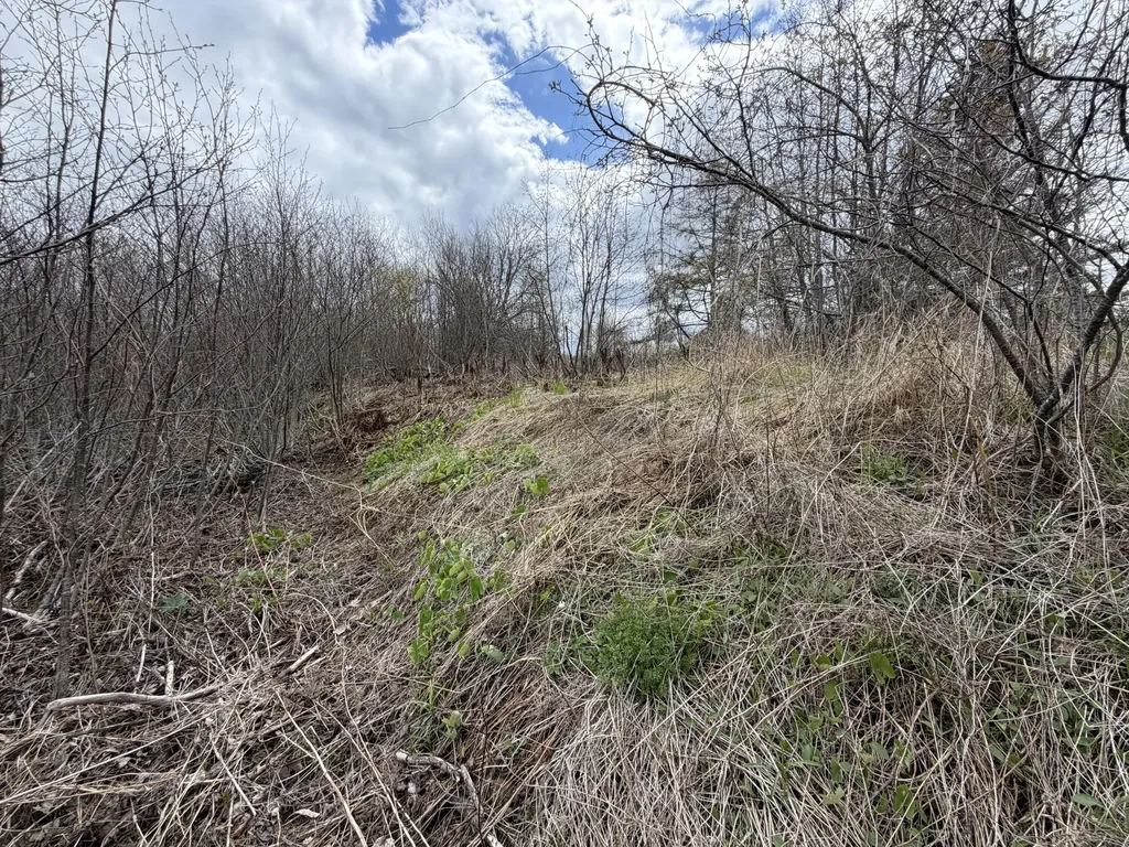 Lot 7 B Road Houlton ME 04730