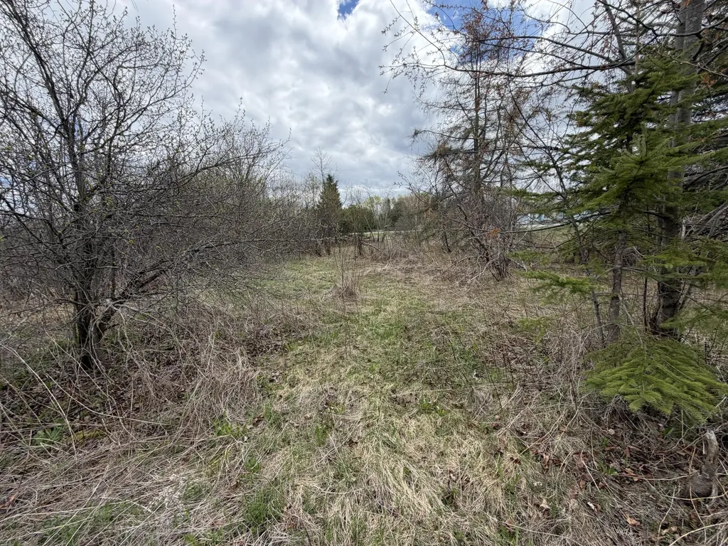 Lot 7 B Road Houlton ME 04730