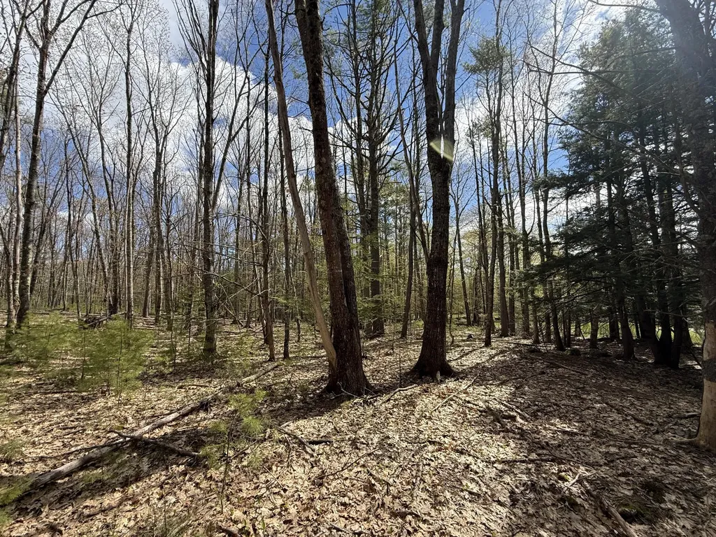 Lot # 8e01 Lord Road Buxton ME 04093