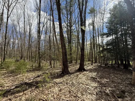 Lot # 8e01 Lord Road Buxton ME 04093