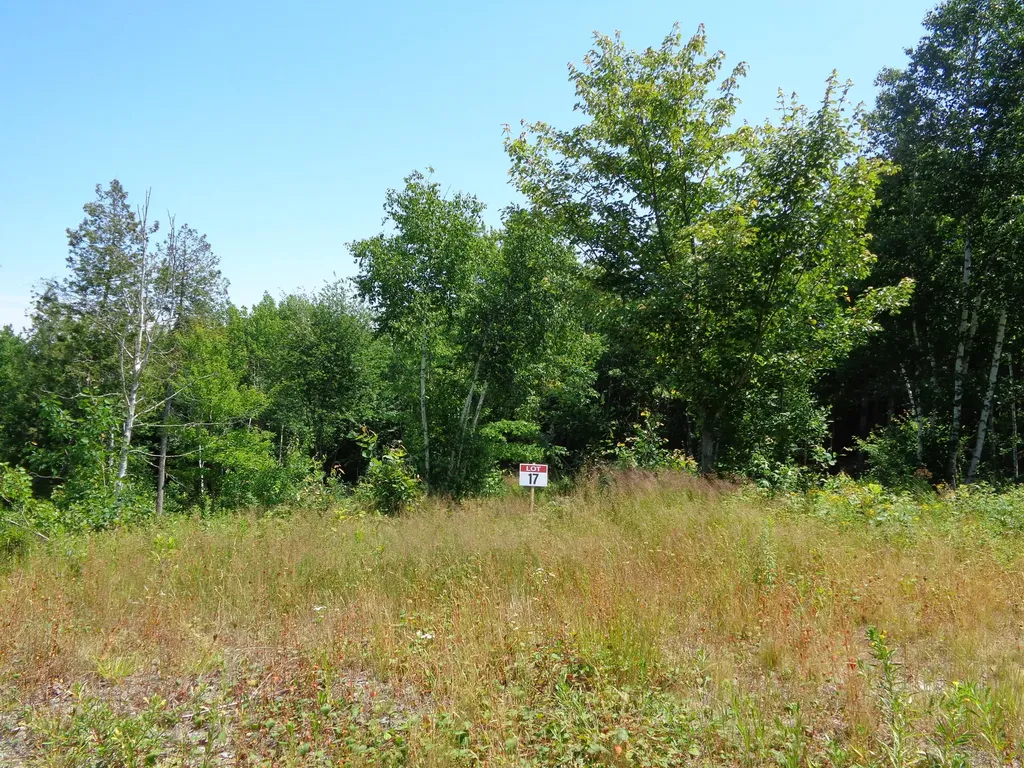 Lot 17 Bailey Mountain Road Franklin ME 04634