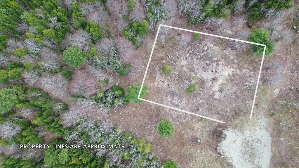 Lot 17 Bailey Mountain Road Franklin ME 04634