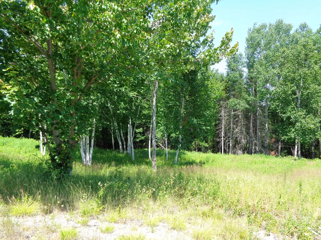 Lot 17 Bailey Mountain Road Franklin ME 04634
