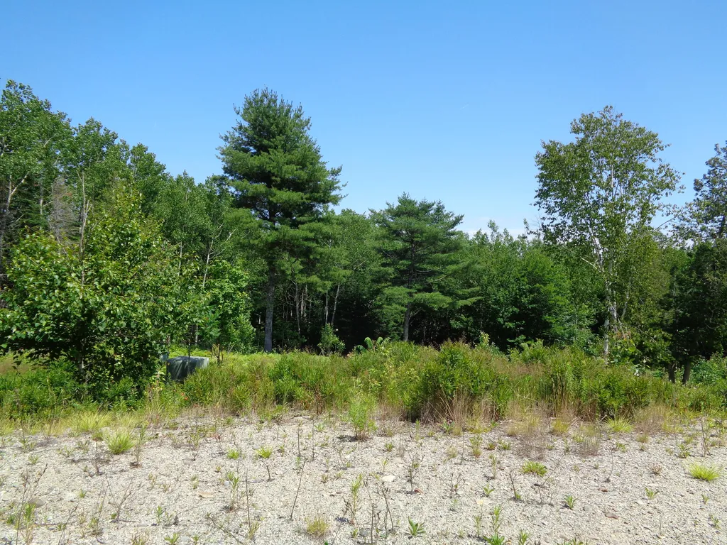 Lot 17 Bailey Mountain Road Franklin ME 04634