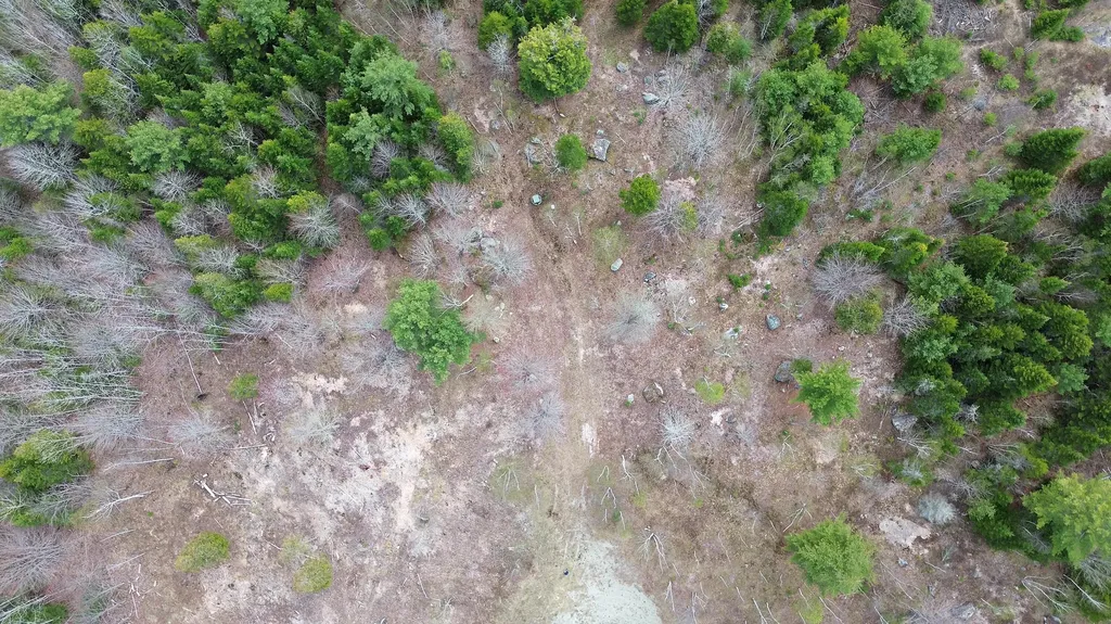 Lot 17 Bailey Mountain Road Franklin ME 04634