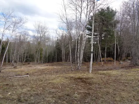 Lot 17 Bailey Mountain Road Franklin ME 04634