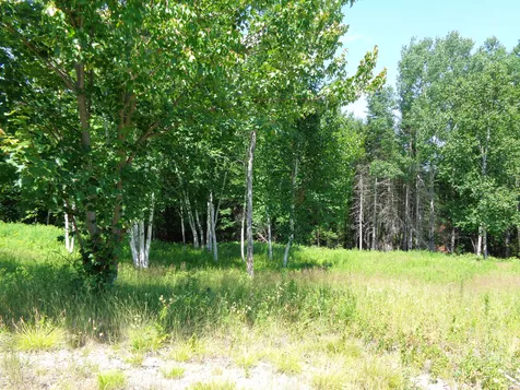 Lot 17 Bailey Mountain Road Franklin ME 04634