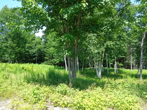 Lot 17 Bailey Mountain Road Franklin ME 04634