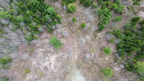 Lot 17 Bailey Mountain Road Franklin ME 04634