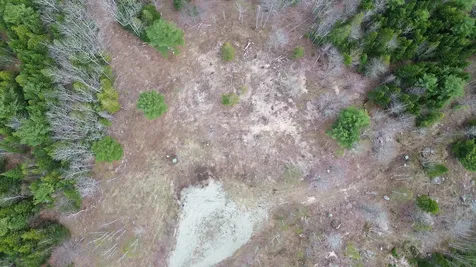 Lot 17 Bailey Mountain Road Franklin ME 04634