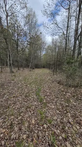 Lot 29-a Hill Road Clinton ME 04927