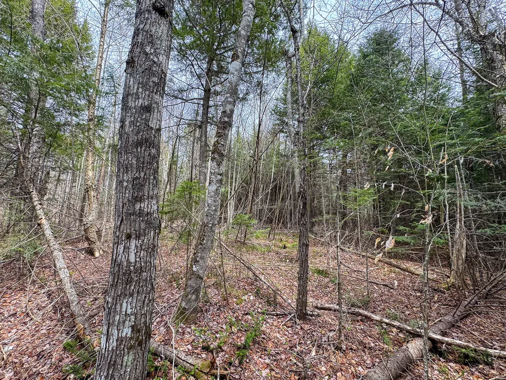 Lot 25 Woodland Ridge Road Danforth ME 04424