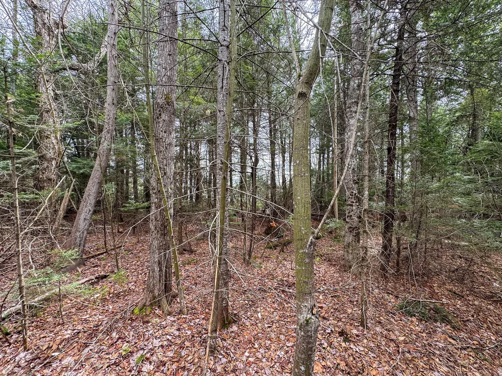 Lot 25 Woodland Ridge Road Danforth ME 04424