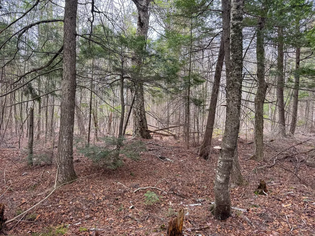 Lot 25 Woodland Ridge Road Danforth ME 04424