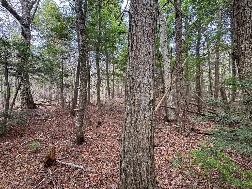 Lot 25 Woodland Ridge Road Danforth ME 04424