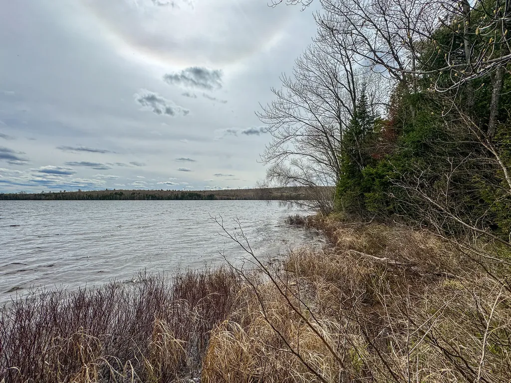 Lot 25 Woodland Ridge Road Danforth ME 04424