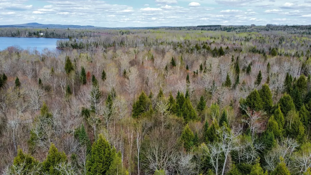 Lot 25 Woodland Ridge Road Danforth ME 04424