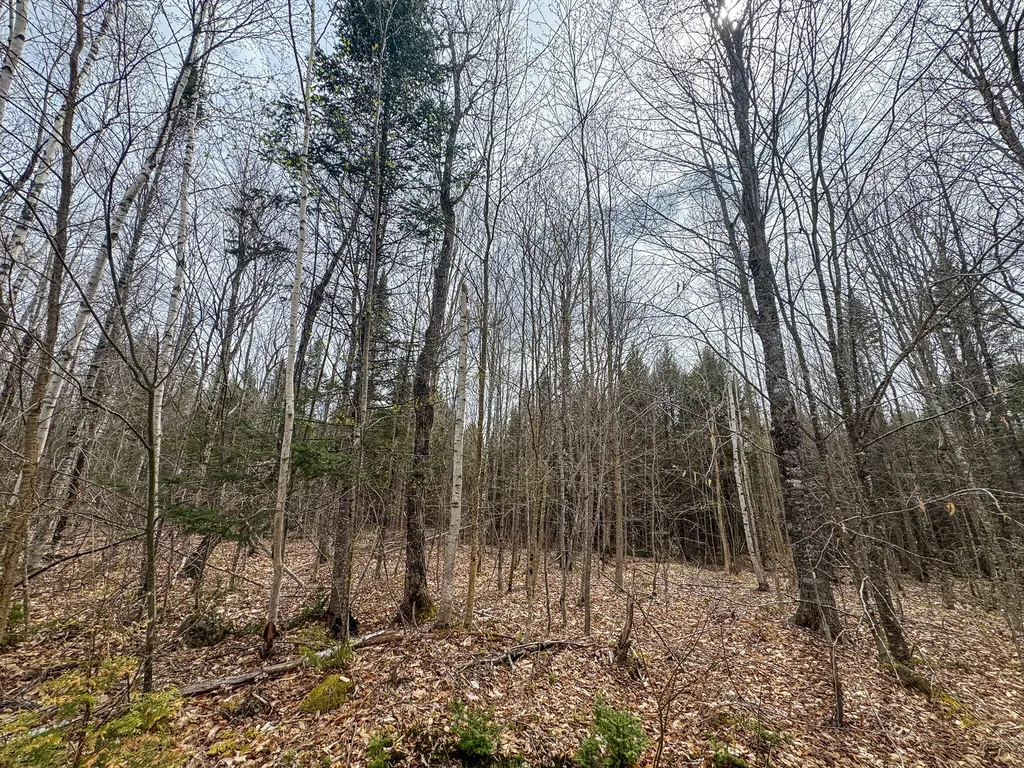 Lot 25 Woodland Ridge Road Danforth ME 04424