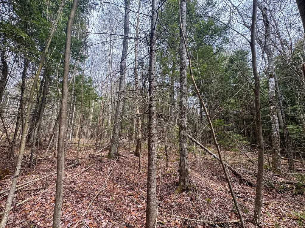 Lot 25 Woodland Ridge Road Danforth ME 04424