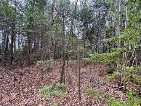 Lot 25 Woodland Ridge Road Danforth ME 04424