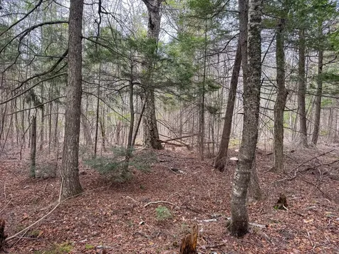 Lot 25 Woodland Ridge Road Danforth ME 04424