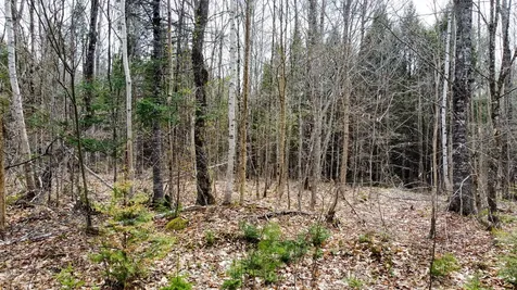 Lot 25 Woodland Ridge Road Danforth ME 04424