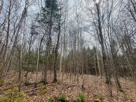 Lot 25 Woodland Ridge Road Danforth ME 04424