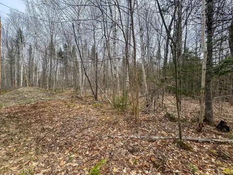 Lot 25 Woodland Ridge Road Danforth ME 04424