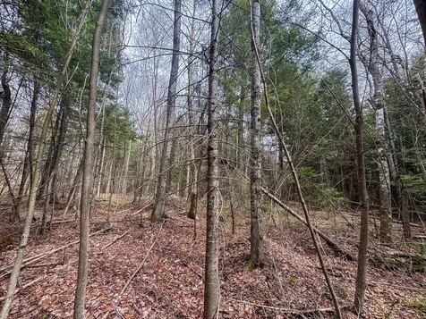 Lot 25 Woodland Ridge Road Danforth ME 04424