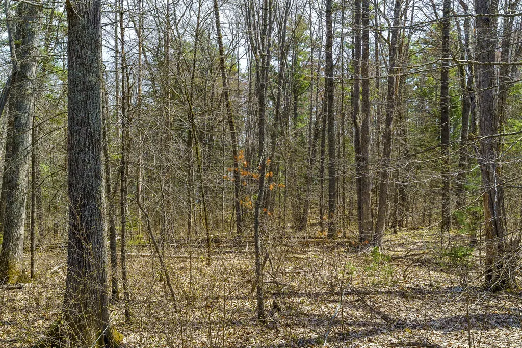 38 Beach Lane Damariscotta ME 04543