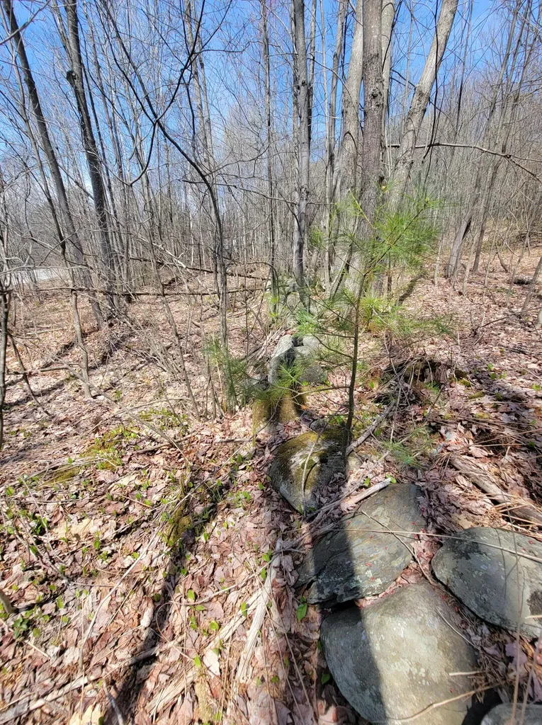 Lot 003 Main Street Jay ME 04239