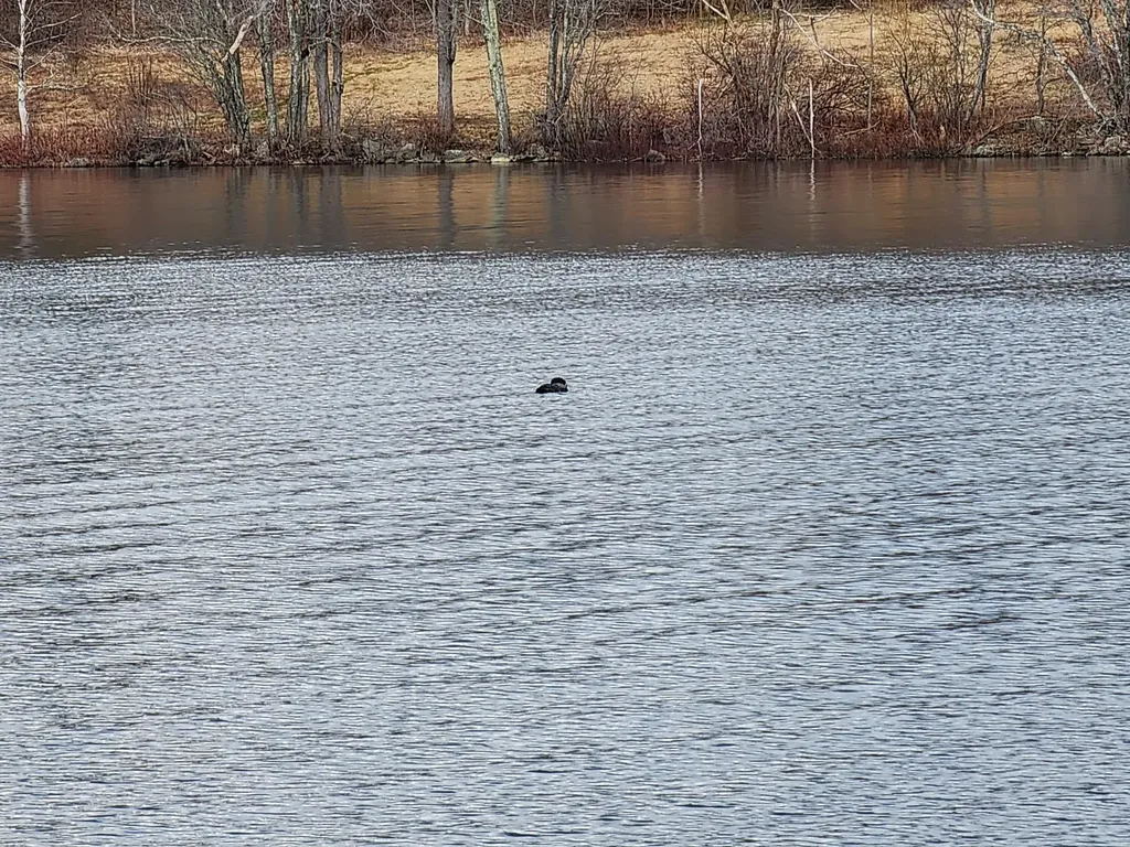 2 Goose River Estates Swanville ME 04915