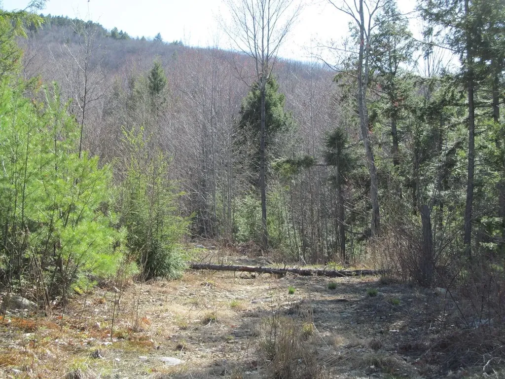 L6 Ranch Road Buckfield ME 04220