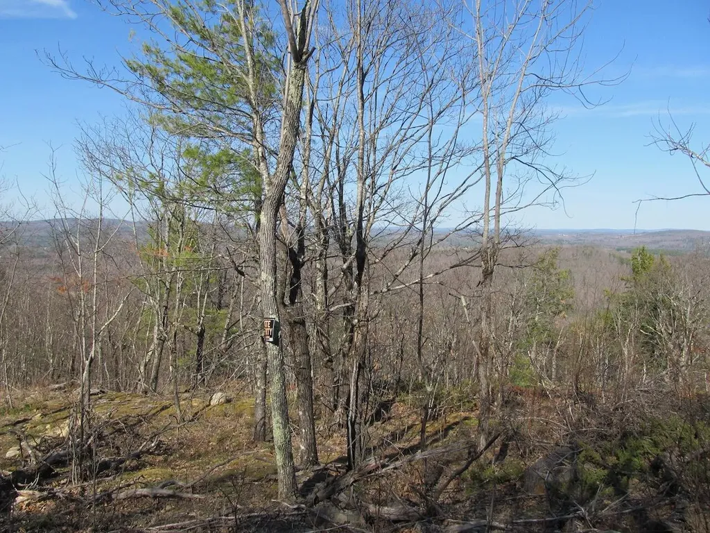L6 Ranch Road Buckfield ME 04220