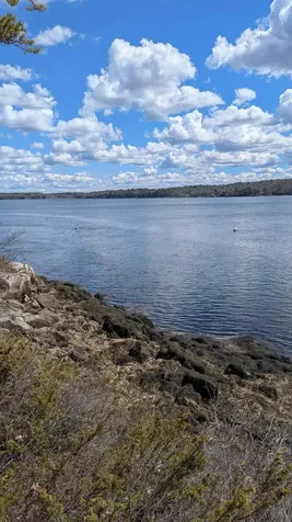 Lot# 14-12 Cove Side Way Westport Island ME 04578