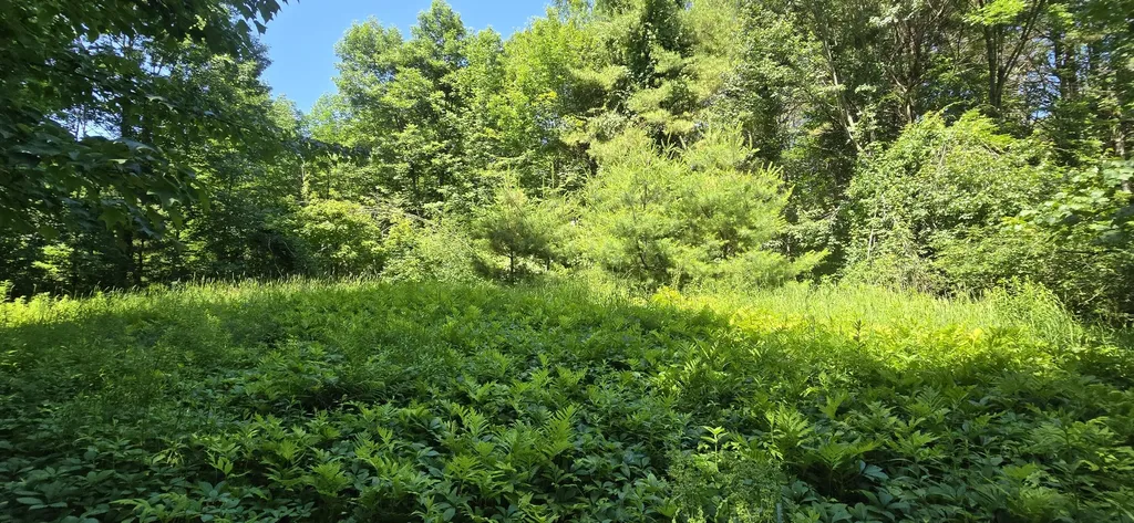16 Wilson Road Gorham ME 04038