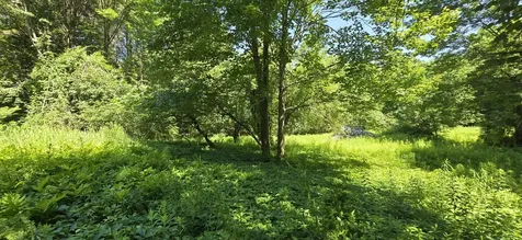 16 Wilson Road Gorham ME 04038